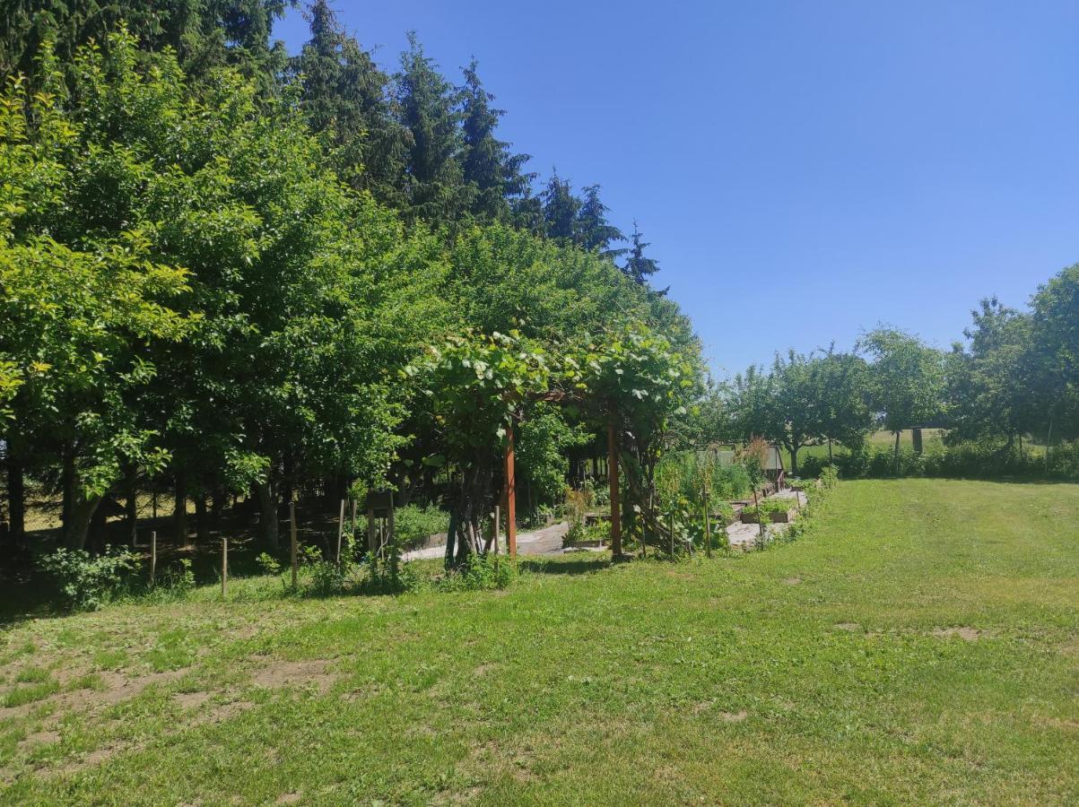 Swiety Spokoj Tuchlin  Bagian luar foto